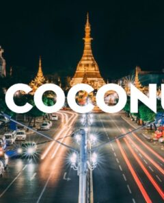 Coconuts News Bangkok