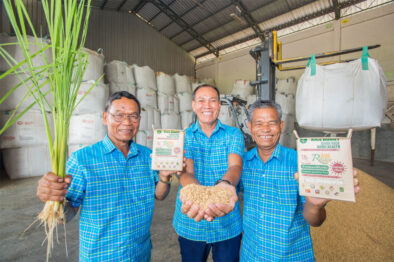 tesco lotus showcases projects people and rice