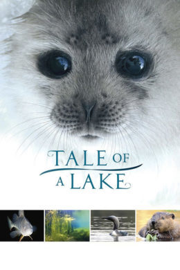 nordic-tale of a lake poster