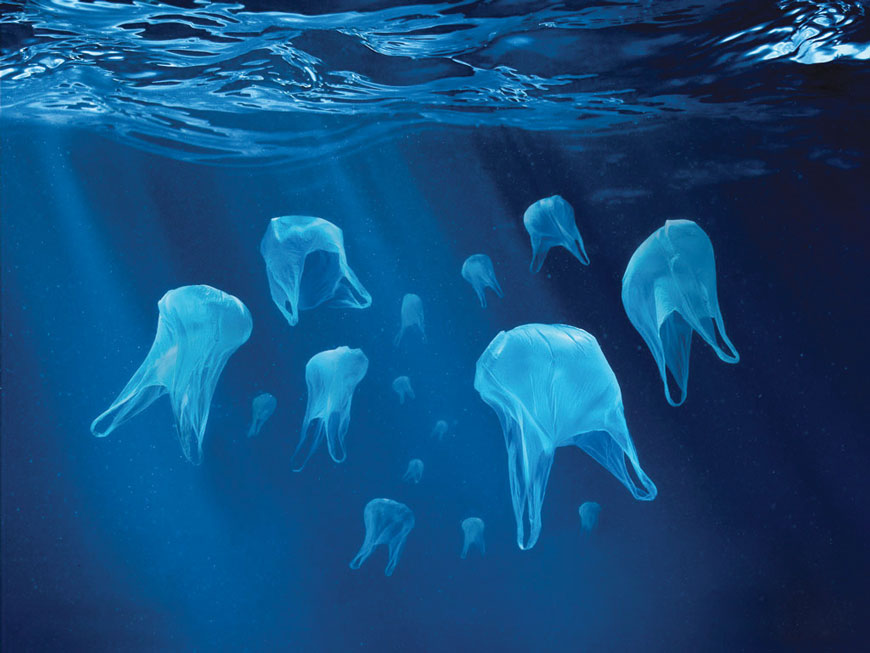 Plastic Jellyfish
