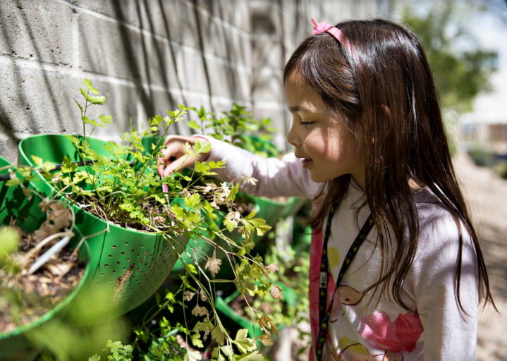 Child learns gardening