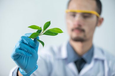 Man in Lab holding greens