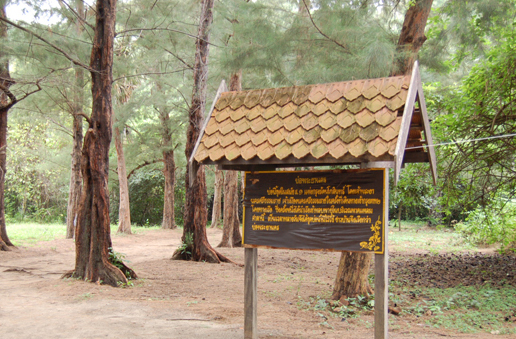 Information Broad on the way to Phraya Nakorn cave 