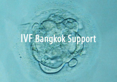 ivf bangkok support