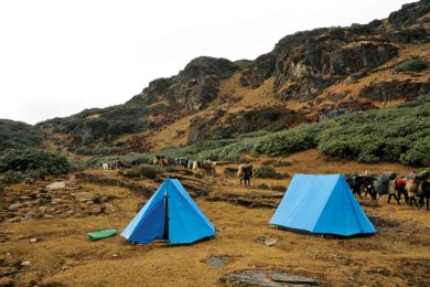 Bhutan Camping
