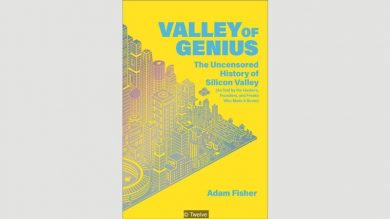 valley of genius